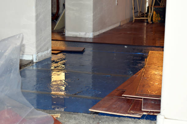 Professional Water Extraction technician working in Valley Spring, TX